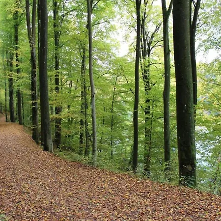 Vakantiehuis Countryside Mansion Feuerscheid