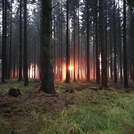 Vakantiehuis Countryside Mansion