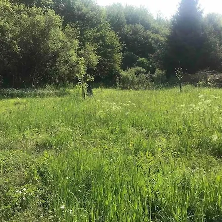 Vakantiehuis Countryside Mansion Feuerscheid