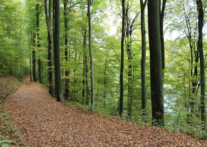 בית נופש Countryside Mansion Feuerscheid