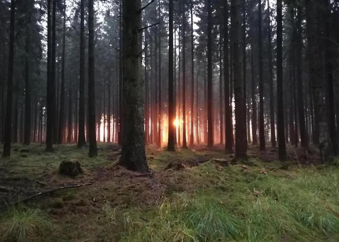 בית נופש Countryside Mansion