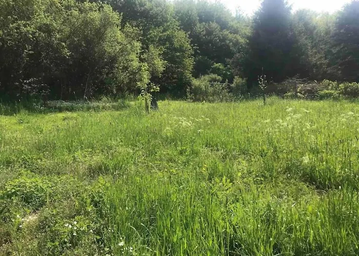 בית נופש Countryside Mansion Feuerscheid