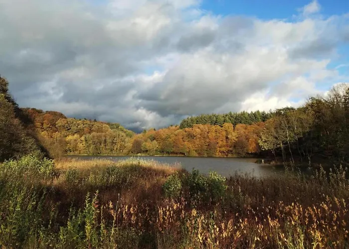 בית נופש Countryside Mansion *