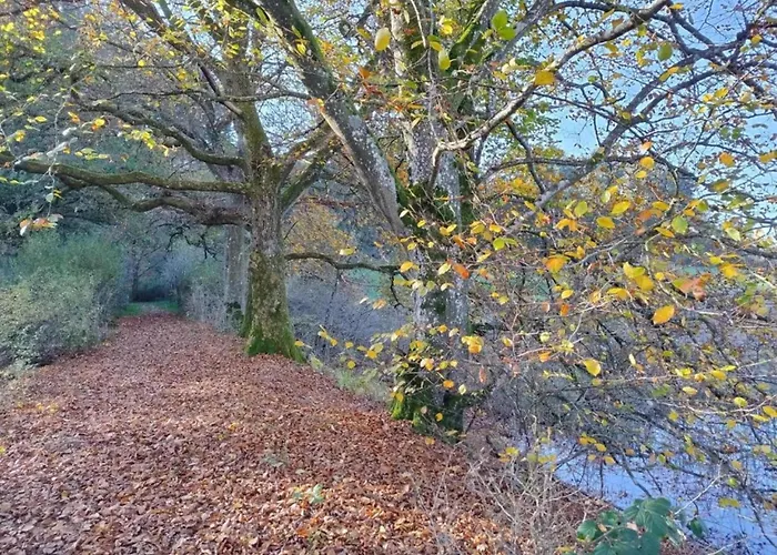 Countryside Mansion *