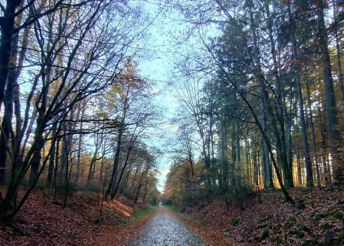 Countryside Mansion * Feuerscheid