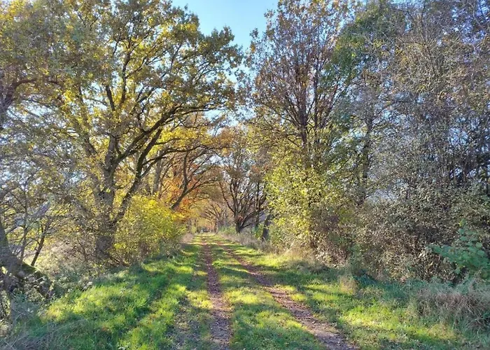 בית נופש Countryside Mansion *